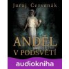 Anděl v podsvětí - Juraj Červenák