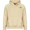 The North Face Mikiny Raglan Box Nse Hoodie Béžová
