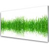 Sklenený obklad Do kuchyne Tráva rastlina príroda 100x50 cm