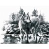 ZUTY Maľovanie podľa čísel BIELY VLK Rámovanie vypnuté plátno na rám Rozmer 80x100 cm