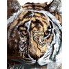 Zuty – Maľovanie podľa čísel – Tiger, údolie a vodopád (D. Rusty Rust), 40 × 50 cm, plátno + rám 8596530188773