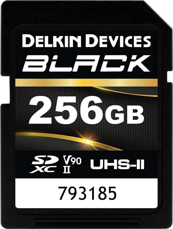 Delkin SDXC Class 10 6GB DSDBV90256BX