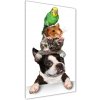 Vertikálny foto obraz akrylové sklo Domáce zvieratá 50x100 cm