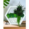 Kvetináč s machom, Premium Šesťuholník so stabilizovaným machom a rastlinami v bielej farbe - 40 cm