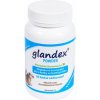 Glandex Powder 70 g