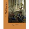 Abel Sanchez (Spanish Edition) (Miguel de Unamuno)(Brožovaná)