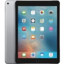 Apple iPad Pro 9.7 Wi-Fi 256GB MLMY2FD/A