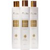 MAXI BALENIE - VitcoHair Shampoo Anti-Aging Restructuring, For Achieving, 750 ml