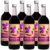 Aronia vom Langlebenhof Najvýhodnejšie balenie 100 % BIO šťava z arónie - jarabina čierna, Demeter, 6x 750 ml