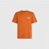 Pánske Tričko s krátkym rukávom O'NEILL ORIGINAL CALI LOGO T-SHIRT 2850309-12528 – Oranžová