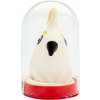 Condomerie handpainted novelty condoms parrot white