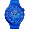 Swatch SB05N116