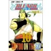 Bleach 10 - Tite Kubo