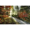 Komar Vliesová fototapeta Feuerzungen 450 x 280 cm