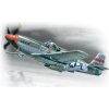 ICM P-51C Mustang 1/48