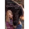 Můj ohnivý kůň – Sněhová bouře - Chantal Schreiber
