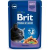 Brit Premium Cat kapsička Cod Fish SET 24x 100 g
