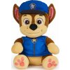 Spin Master SPIN Tlapková patrola plyšový Chase/Skye 6069284/2