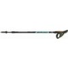 Fizan Speed - Nordic Walking palice modré