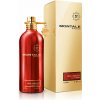 Montale Paris Oud Tobacco EDP 100 ml (unisex)