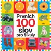 Svojtka & Co. Prvních 100 slov pro šikuly