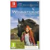 Windstorm: Start of a Great Friendship (Code in Box) (SWITCH)