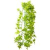 HOBBY IVY popínavá rastlina dekorácia do terária 70cm