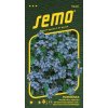 Nezábudka modrá SEMO 9640