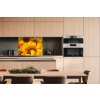 DIMEX | Dibond doska za kuchynskú linku | DBW-08060-051 Slnečnica | 80 x 60 cm + Dibond obkladová doska Dimex do kuchyne Slnečnica v rozmere 80 x 60 cm