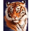 Diamantový obraz Tigria hlava