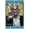 Říp nevybuchl - Ludvík Vaculík