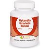 Natural Pharm Hylandia + Graviola + Reishi tablety 200 ks