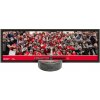 Inglasco / Sherwood Zberateľská plaketa Florida Panthers 2024 Stanley Cup Champions Deco Plaque