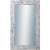DANTIK - Zrkadlo v rámu, rozmer s rámom 60x100 cm z lišty Travertino strieborné (2893)