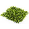 Umelý živý plot BUXUS SEMPERVIRENS, dielec 50x50cm