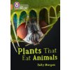 Plants that Eat Animals (Sally Morgan)(Brožovaná)
