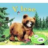 V lese - Mária Štefánková