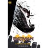 DC Comics Batman by Tom King and Lee Weeks: The Deluxe Edition