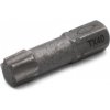 Fischer Bit TORX 40 profi