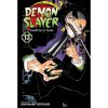 Viz Media Demon Slayer: Kimetsu no Yaiba 13