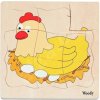 Viacvrstvové puzzle – vývoj sliepky