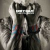 Grey Daze - Phoenix / Clear / Vinyl [LP]