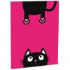 Dosky na abecedu Crazy Kitten
