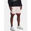 Under Armour Pánske kraťasy RIVAL FLEECE AMP SHORT Biela XL