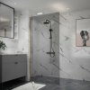 Erga Paris, sprchová zástena Walk-In 100x200 cm, 8mm šedé sklo, zlatý lesklý profil, ERG-V02-PARIS-100x200-GR-GD