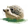 ZUTY Maľovanie podľa čísel - JEŽKO NA TRÁVE Rámovanie: vypnuté plátno na rám, Rozmer: 40x50 cm