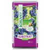 Substrát Forestina Standard - Čučoriedky a ostatné kyslomilné rastliny 40 l