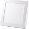 NEDES | LED Stropné svietidlo LED/24W/230V 4000K | ND3147