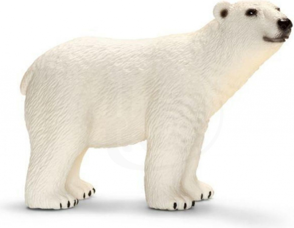 Schleich 14800 Lední medvěd