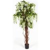 Vistária prírodné kmene DELUXE, biela, 180 cm